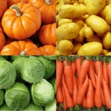 Pasmina srebrnih zečeva: kako uzgajati i kako se brinuti